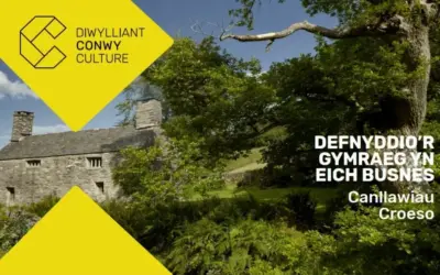 Using Welsh in your business