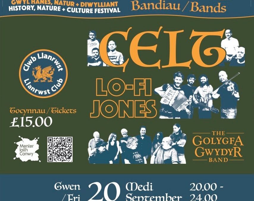 Gig Celt a Lo-Fi Jones – Gŵyl Dafydd ap Siencyn
