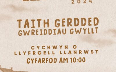 Taith Gerdded Llanast Llanrwst gyda Gwreiddiau Gwyllt
